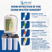 Izumi Analog Ionizer