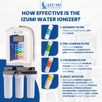 Izumi Digital Ionizer